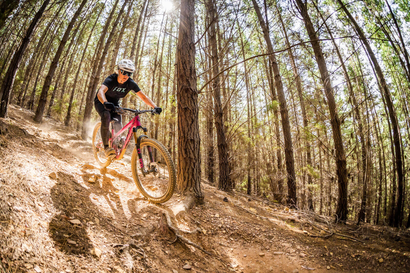 Amb Pivo Shadowcat Agile Fast Trail Bike