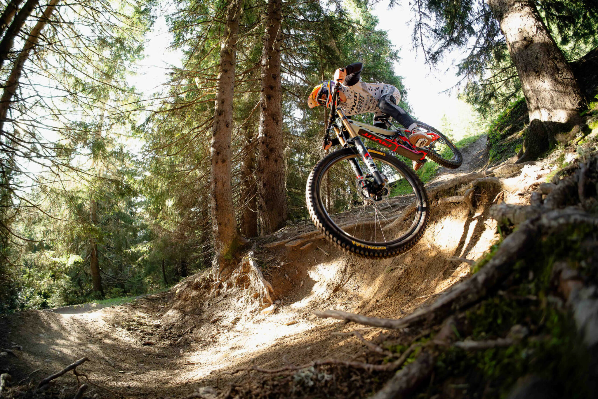 Pivot Cycles Australia The Phoenix Downhill Mountain Bike